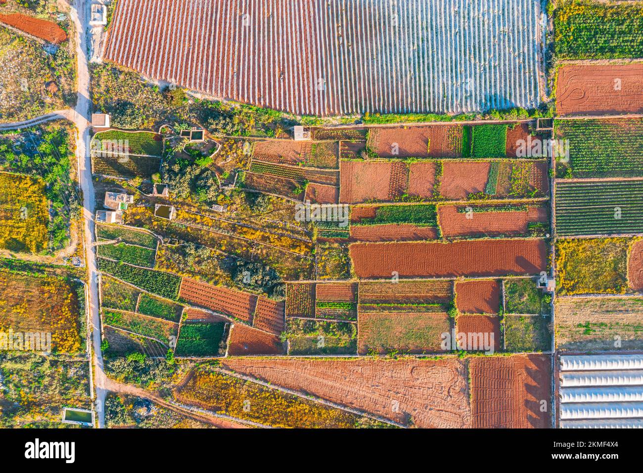 Luftaufnahme der verschiedenen Felder von Pflanzen und Gewächshäusern. Konzept des agro-industriellen Komplexes Stockfoto