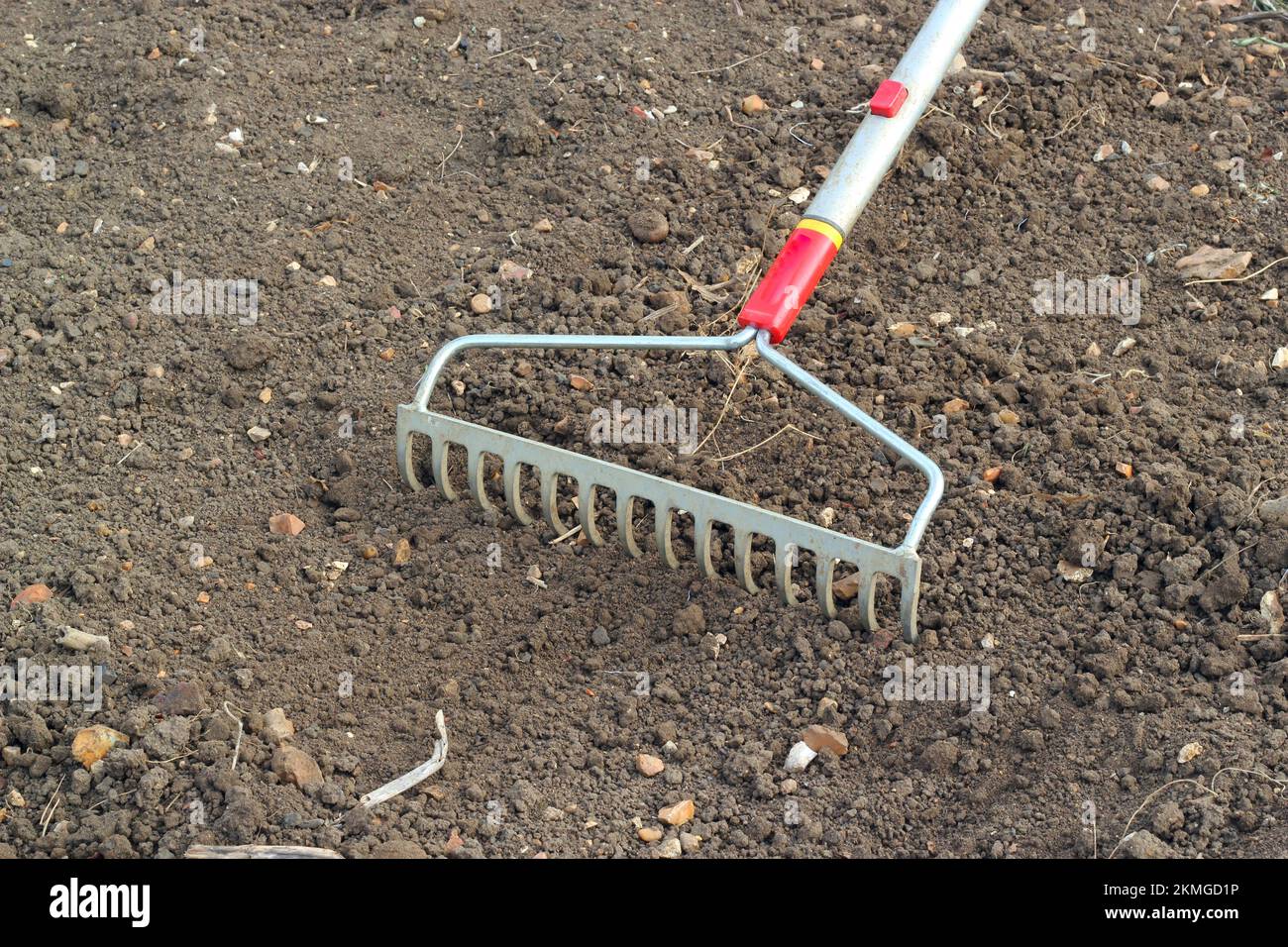 Rechen von Boden, der zum Aussäen von Samen oder Pflanzen bereit ist. Gartenarbeit. Stockfoto