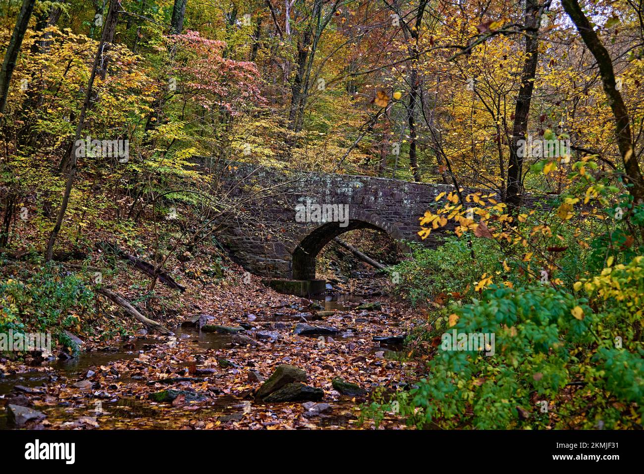 Neshaminy Creek im Tyler State Park in Bucks County, Pennsylvania, USA. Mit einem kleinen Bach und einer bogenförmigen Steinbrücke. An einem regnerischen Herbsttag. Stockfoto
