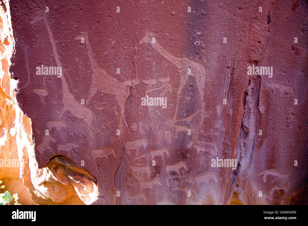 NAMIBIA. Twyfelfontein. Huab Valley, Kunene Region, Damaraland. Petroglyphen, Felsgemälde, die verschiedene Tiere darstellen Stockfoto