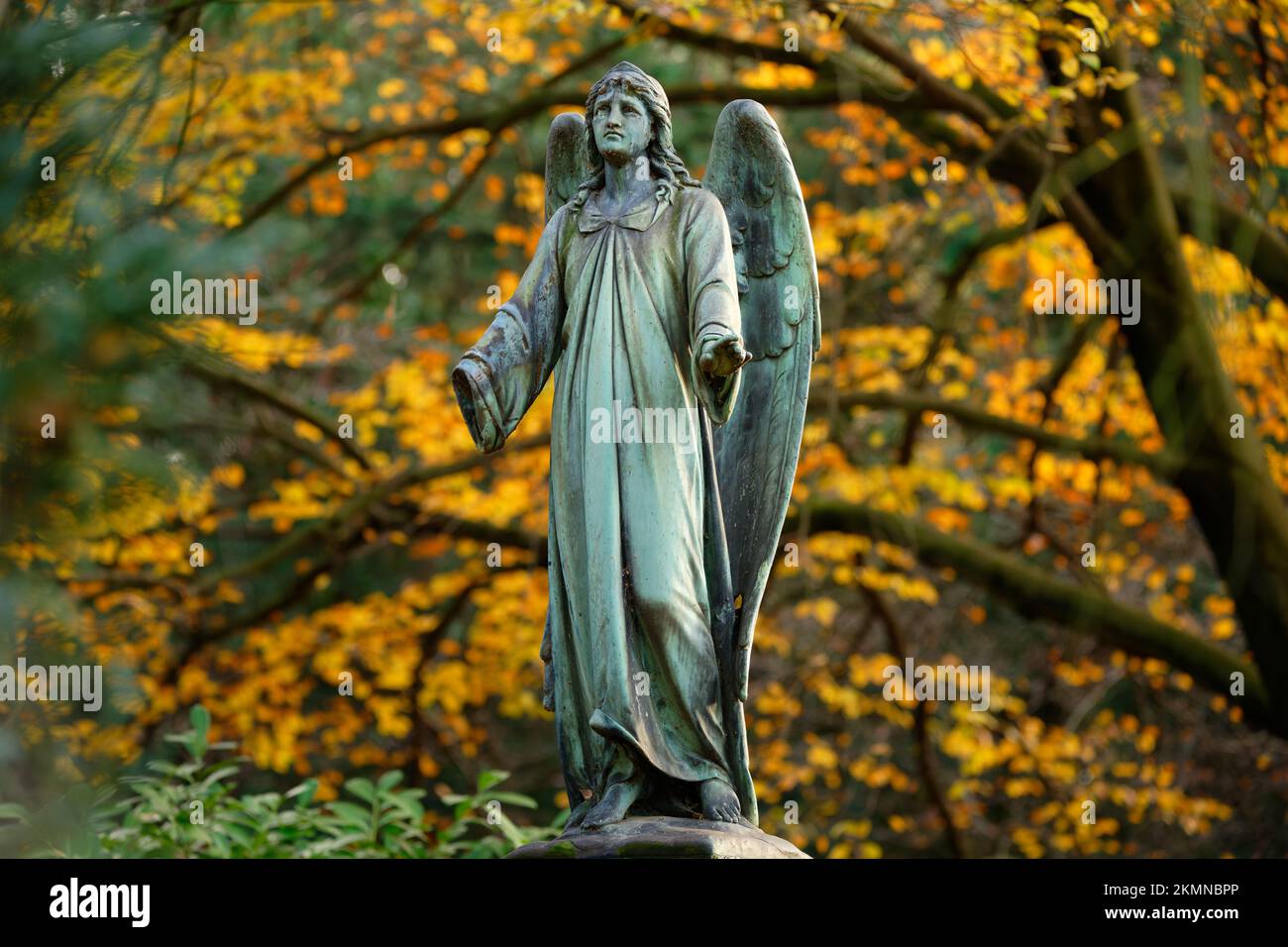 Engelsstatue mit Flügeln auf einem historischen Friedhof in köln im Herbst Stockfoto
