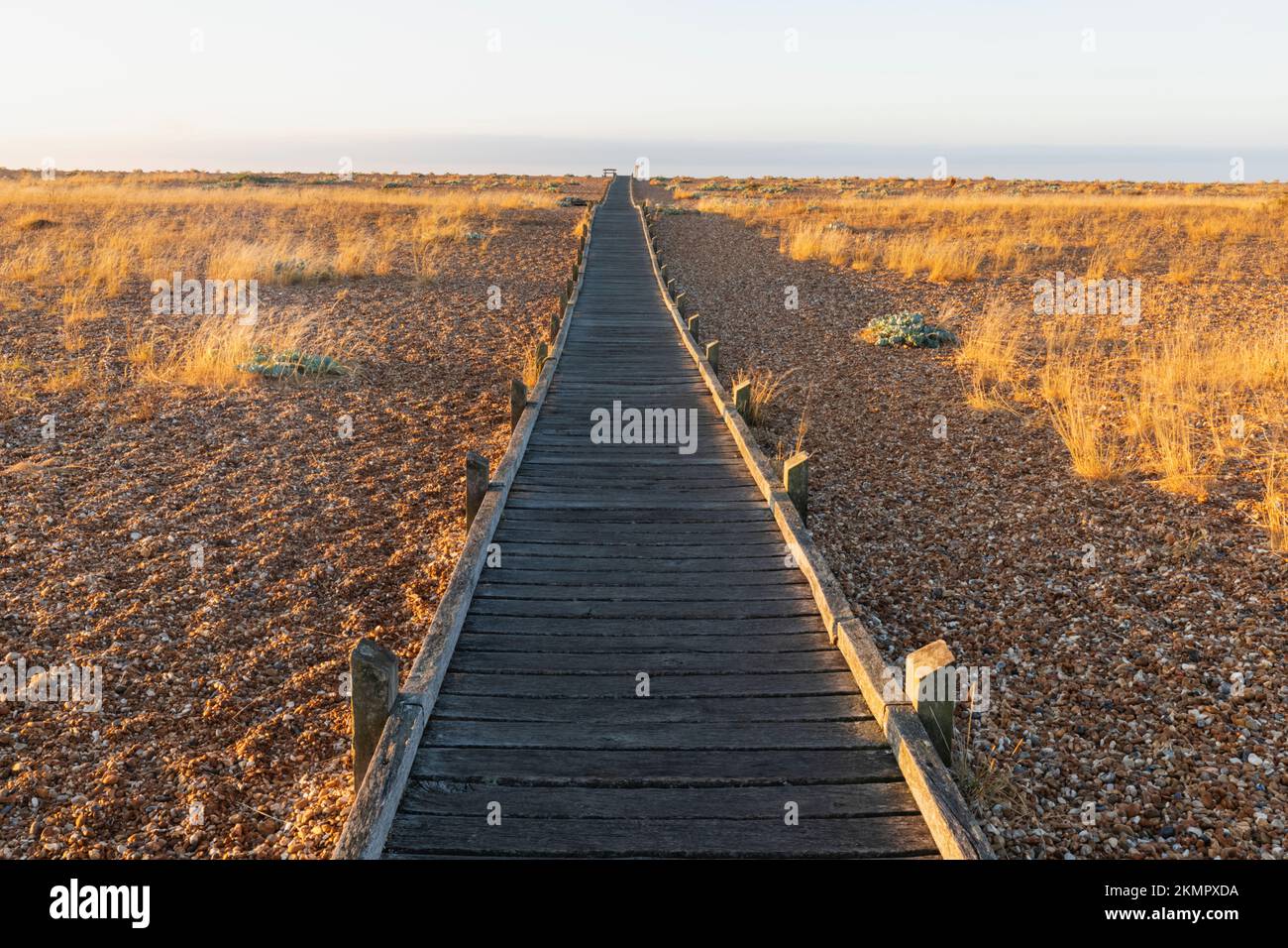 England, Kent, Dungeness, Holzsteg am Kieselstrand Stockfoto