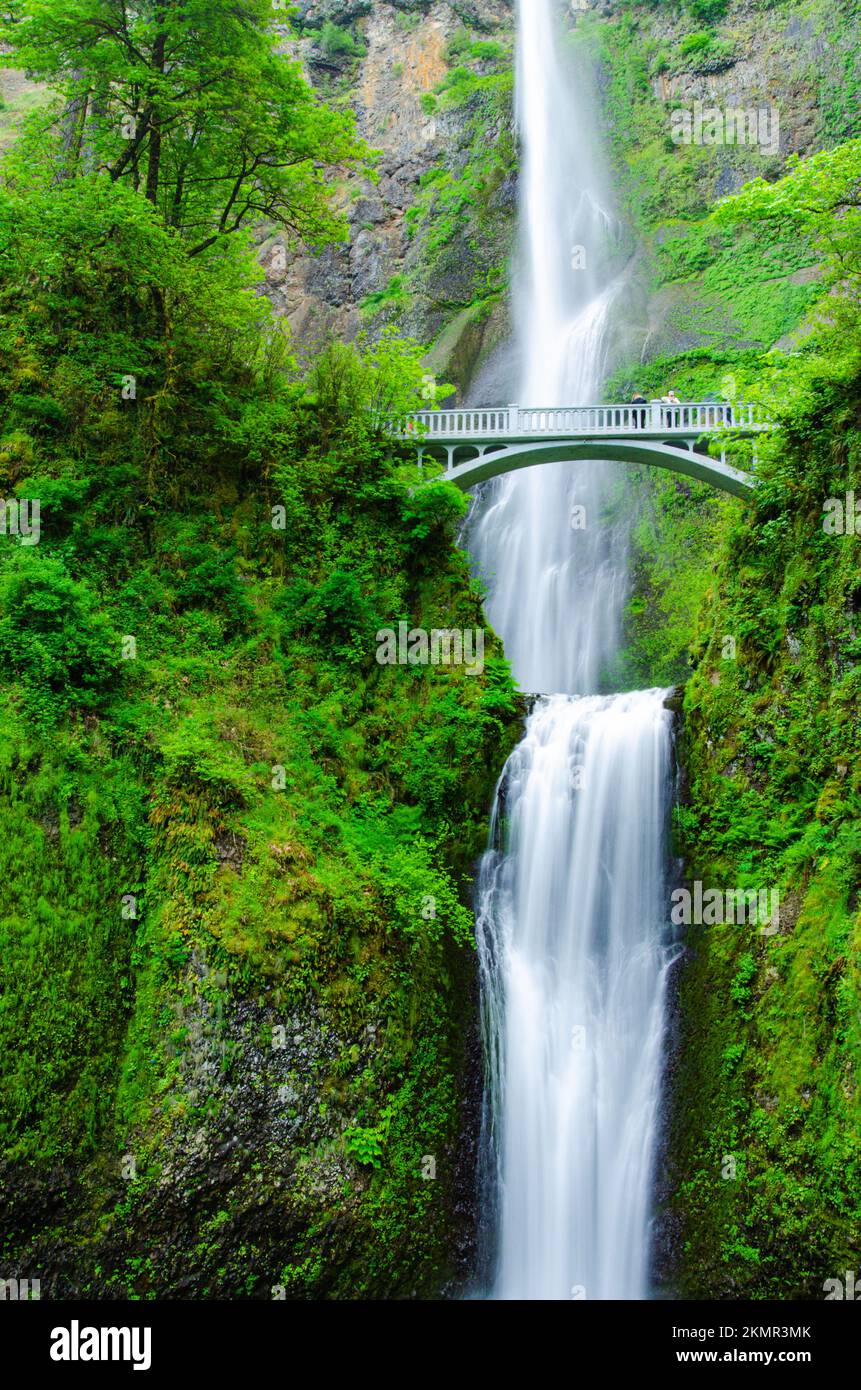 Multnomah Falls in der Columbia River Gorge in Oregon Stockfoto