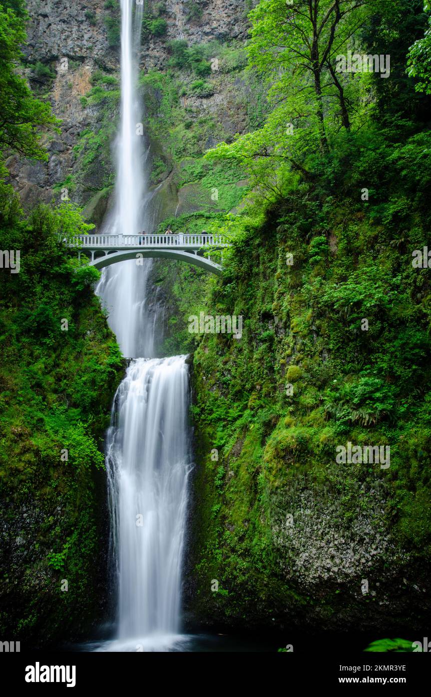 Multnomah Falls in der Columbia River Gorge in Oregon Stockfoto