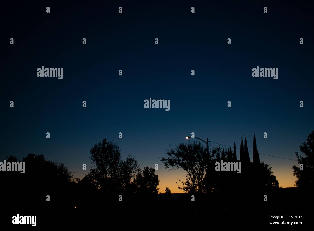 Orange- und marineblauer Sonnenuntergang mit dunklen Bäumen und Lampenpfosten Stockfoto