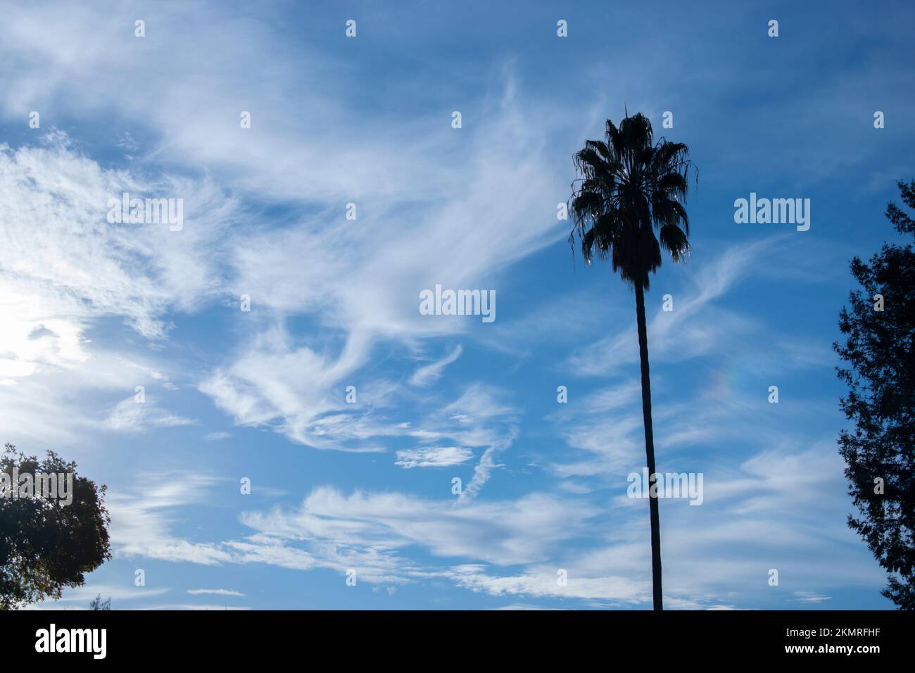 Flauschige Wolken am wunderschönen blauen Himmel Stockfoto