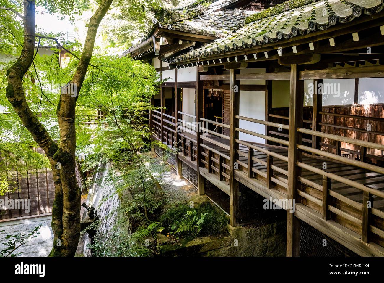Wunderschönes hölzernes Interieur des antiken Eikando-Tempels in Kyoto Japan Stockfoto