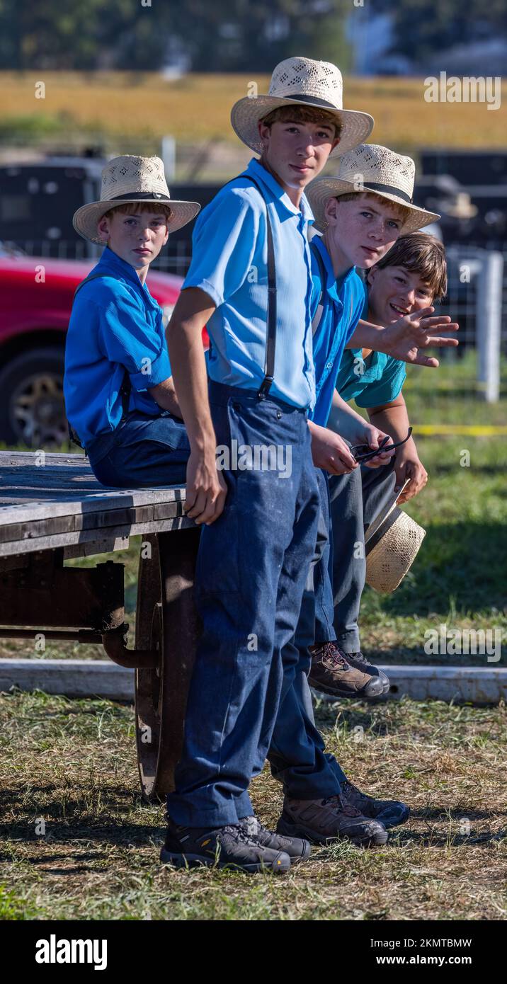 Vier Amish-Jungs in blauen Hemden mit Hosenträgern in Casson Corner in der Nähe von Dover, Kent County, Delaware Stockfoto