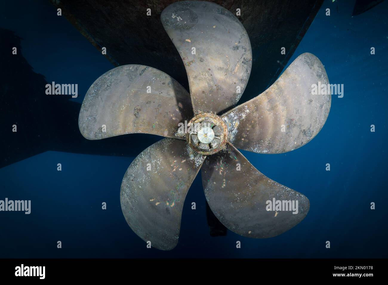 Propellerbalg des Schilds in %, von der Unterwasserwelt aus gesehen Stockfoto