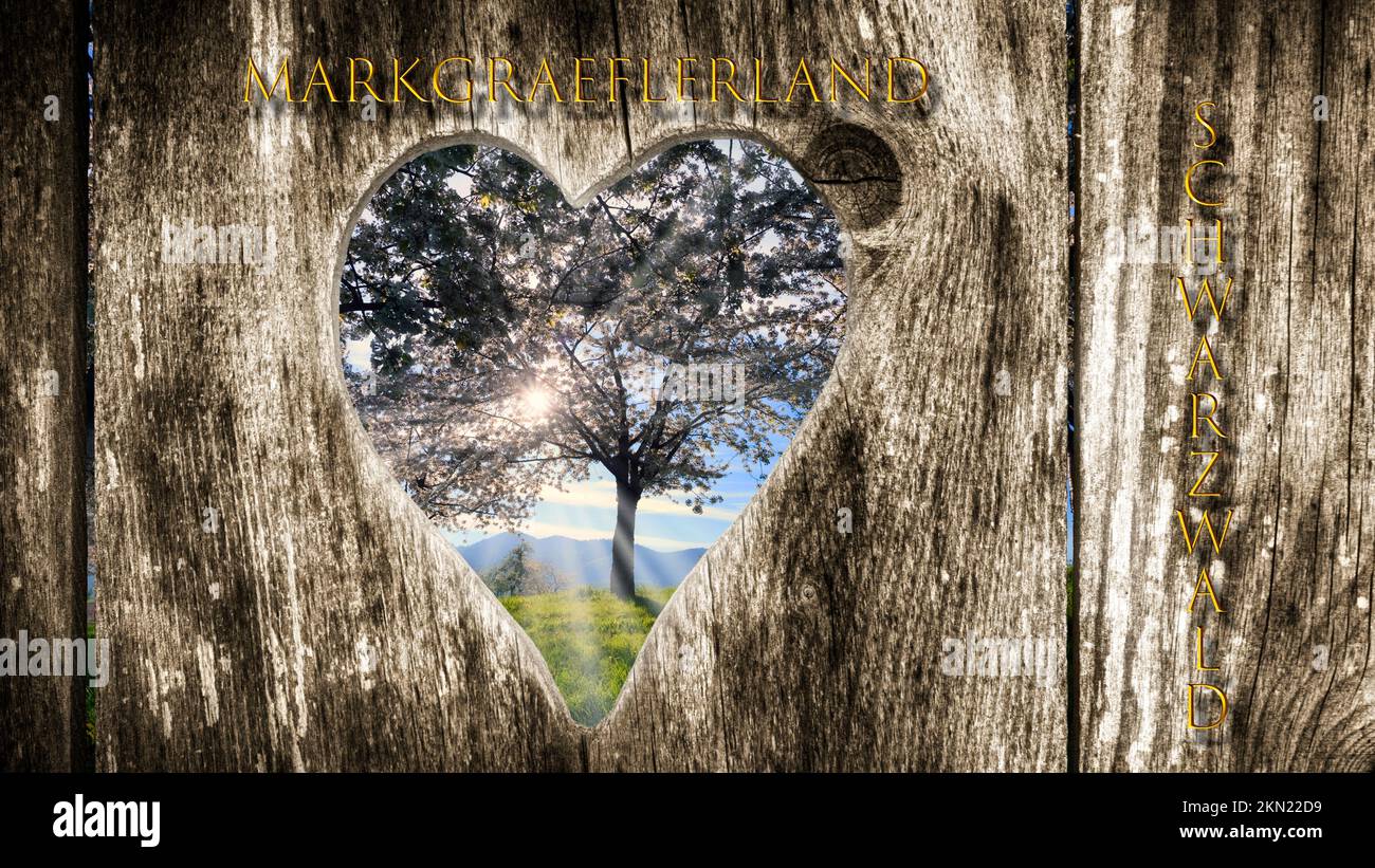Blick durch ein hölzernes Herz auf einen Kirschbaum Stockfoto