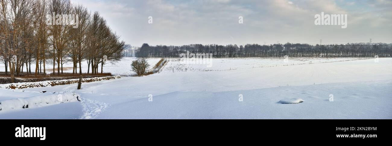 Gefrorene Pracht einer Winterlandschaft. Eine Straße, die durch eine gefrorene Landschaft in der dänischen Landschaft verläuft. Stockfoto