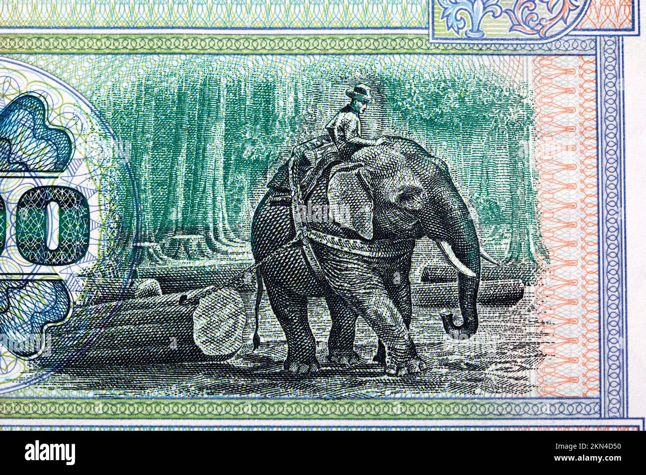Elefanten-Teak-Logger aus Myanmar Money - Kyat Stockfoto