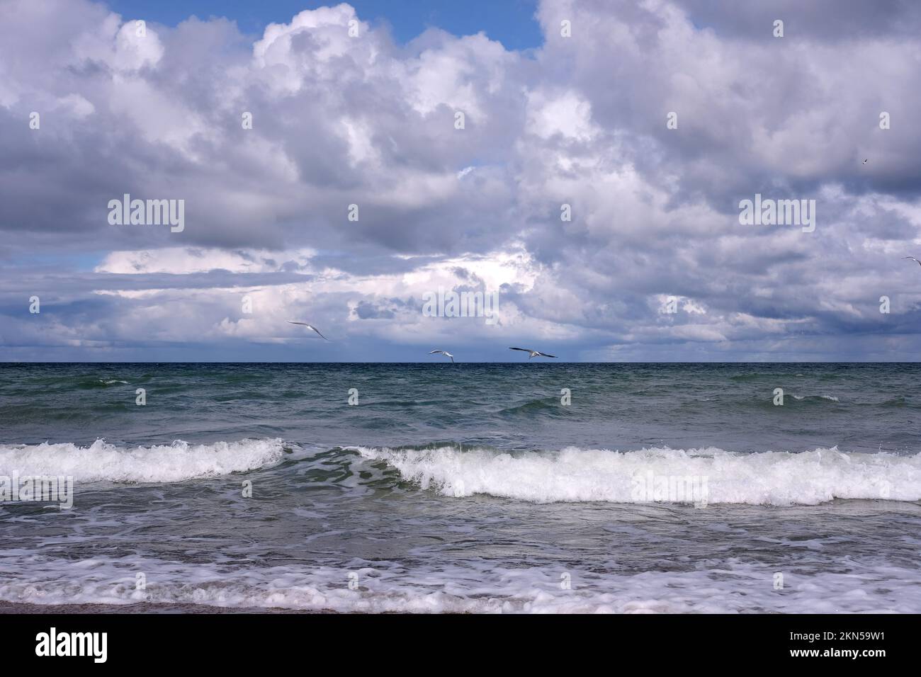 Seascape mit Sturmwellen mit Schaum unter schwerem Cumulonimbus am Himmel bis zum Horizont Stockfoto
