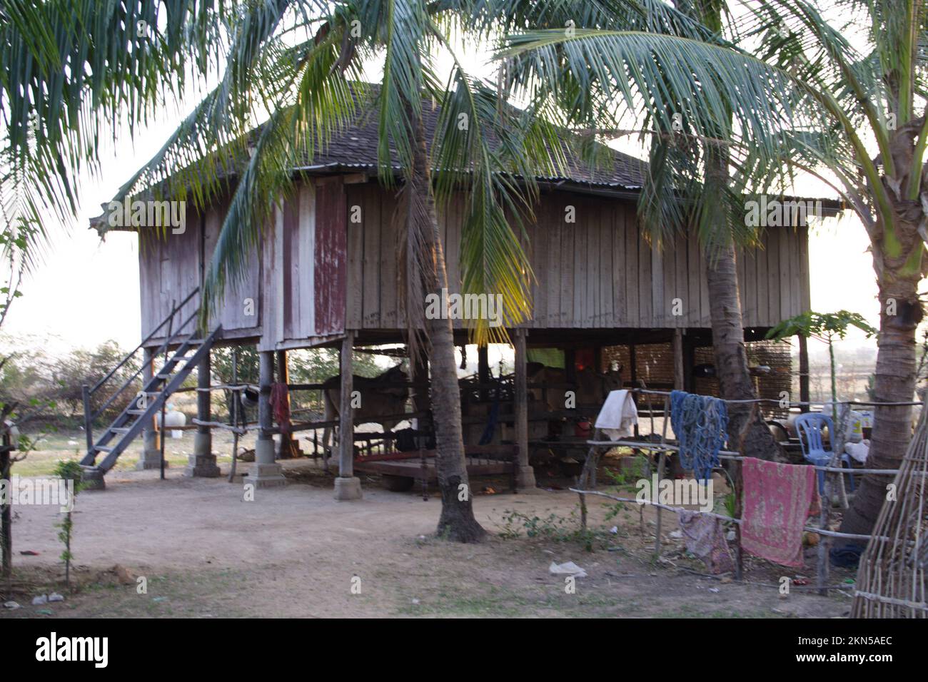 Traditionelles Haus (auf Pfählen), Kampong Speu, Kampong Speu Provinz, Kambodscha - hölzerne Treppe zum oberen Stockwerk; Lagerung unten. Stockfoto