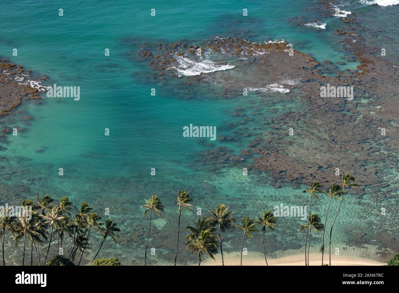 Korallen von hoch oben auf Oahu Hawaii Stockfoto