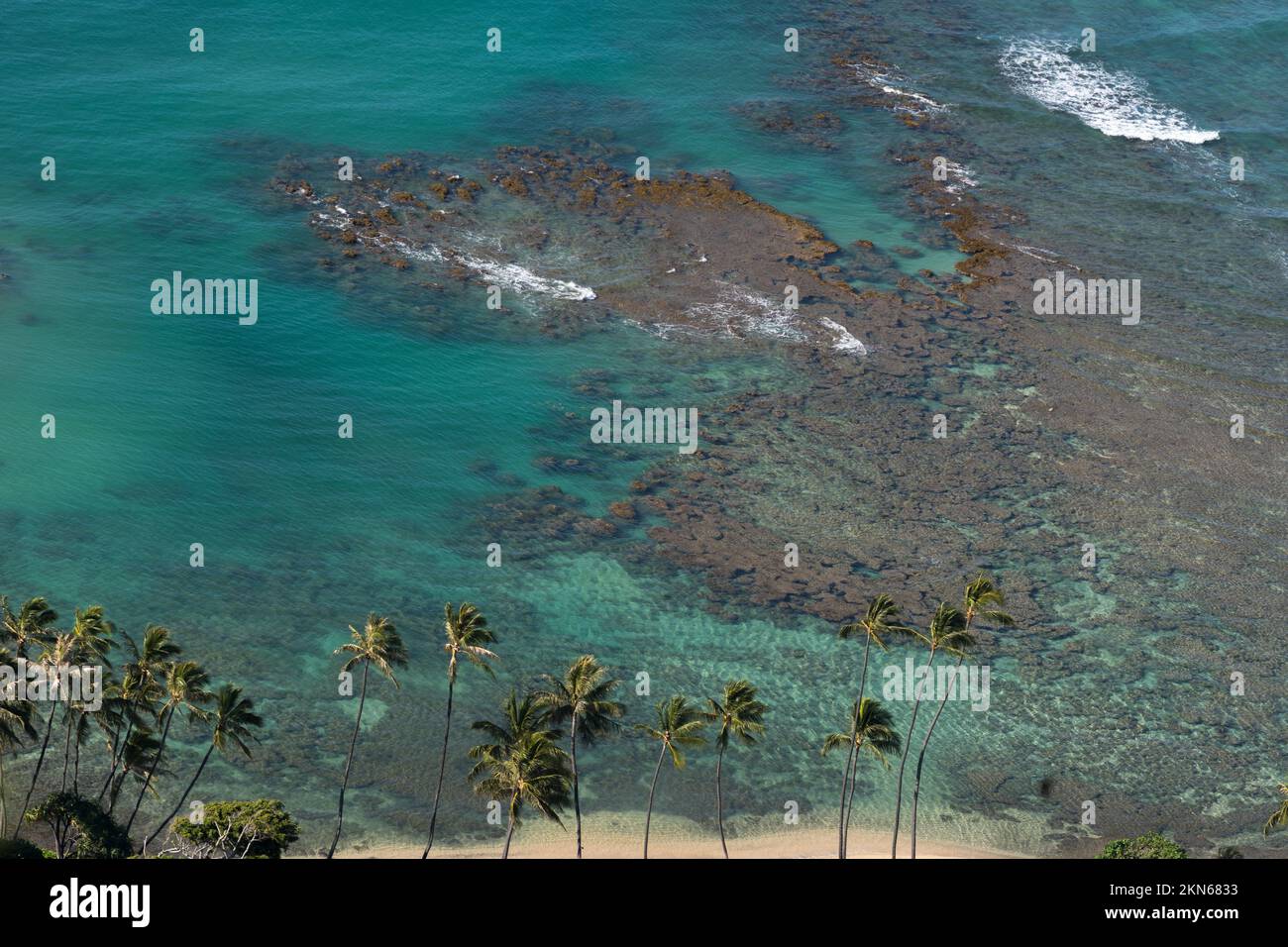 Korallen von hoch oben auf Oahu Hawaii Stockfoto
