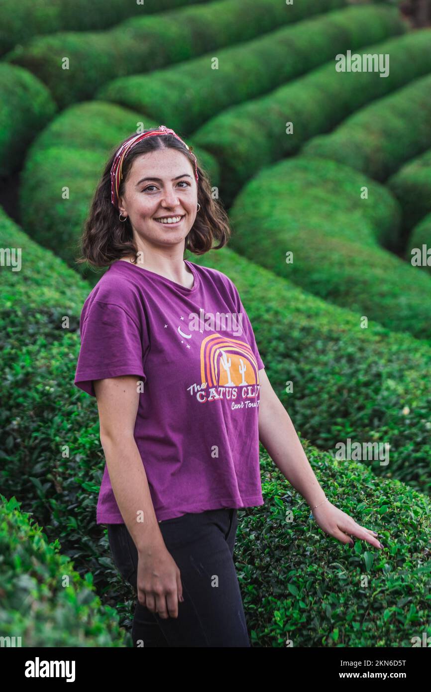 Teeplantagen in der Nähe von Rize in der Türkei Editorial Stockfoto