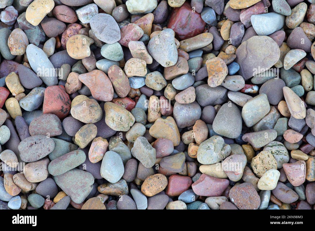 Farbige Kieselsteine Stockfoto