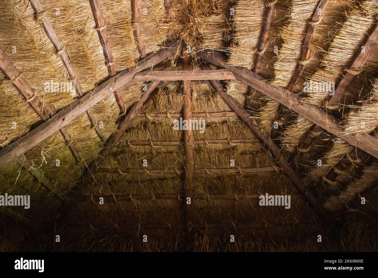 Strohdach in einer alten ukrainischen traditionellen Hütte Stockfoto