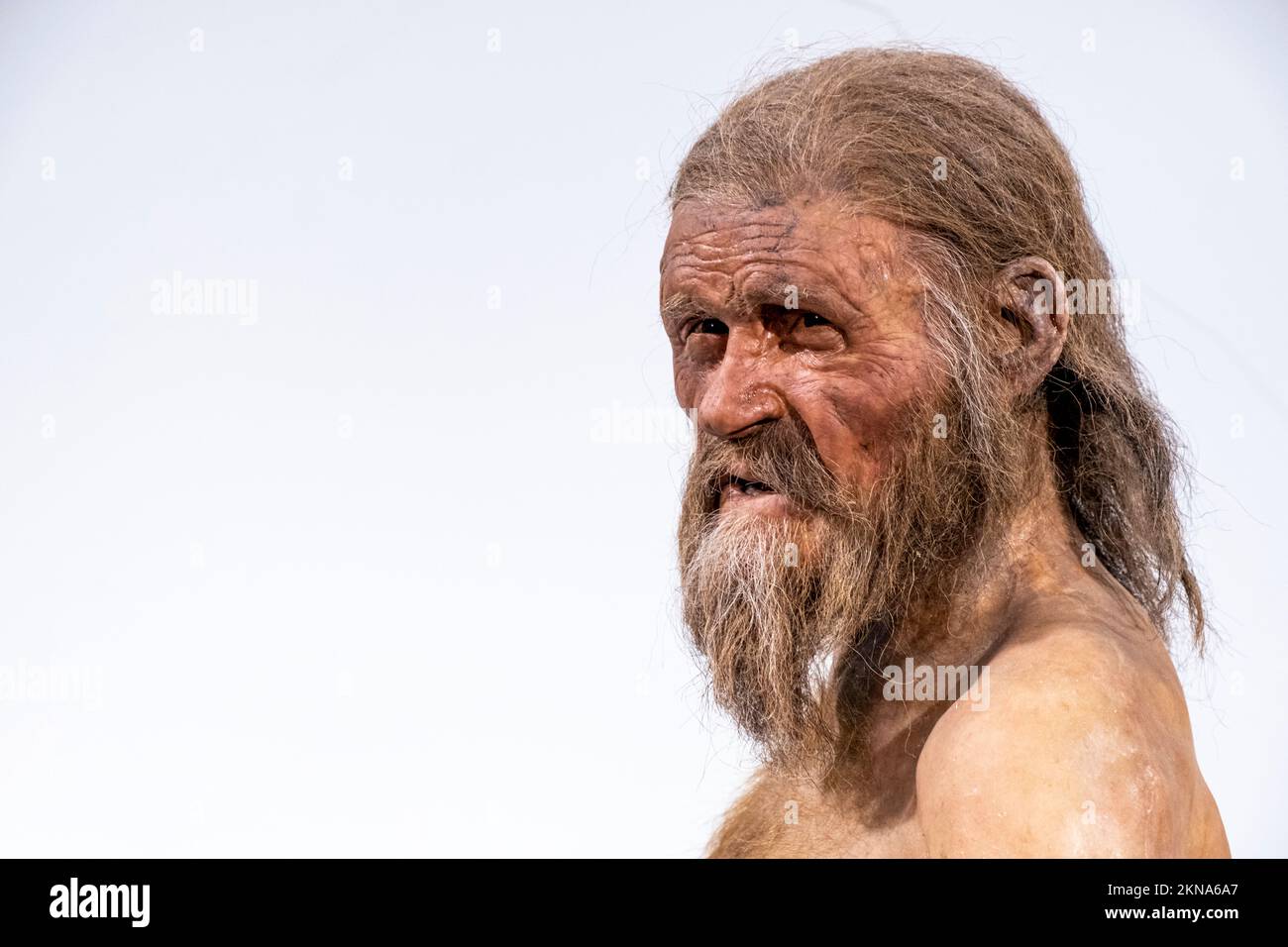 Otzi iceman -Fotos und -Bildmaterial in hoher Auflösung – Alamy