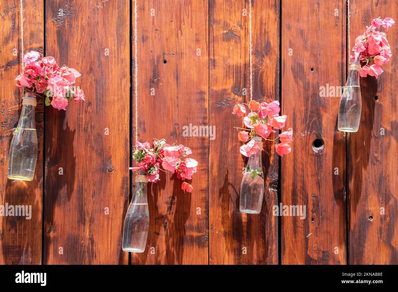 Glasflaschen mit Blumen als dekorative Vasen, die an einem Holzzaun hängen Stockfoto