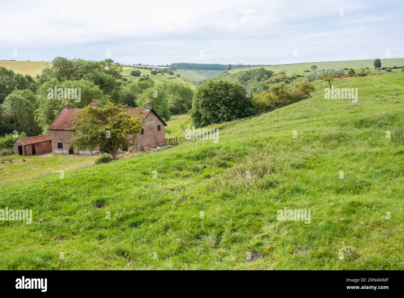 Malerischer Blick Wharram Percy Green Fields Rural East Yorkshire UK Stockfoto