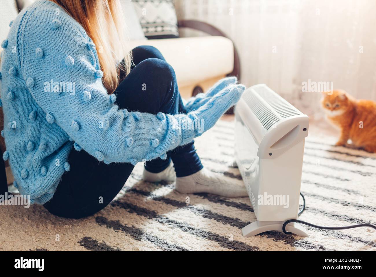 Heizelement im Winter zu Hause verwenden. Eine Frau, die ihre Hände mit einer Katze wärmt, die einen Pullover trägt. Heizperiode. Stockfoto