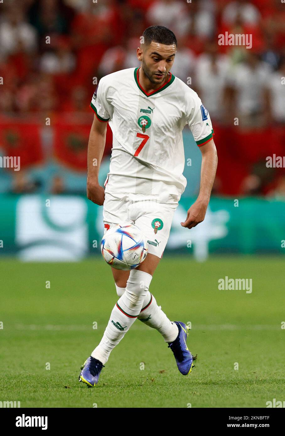 Fußball FIFA Weltmeisterschaft Katar 2022 Gruppe F Belgien