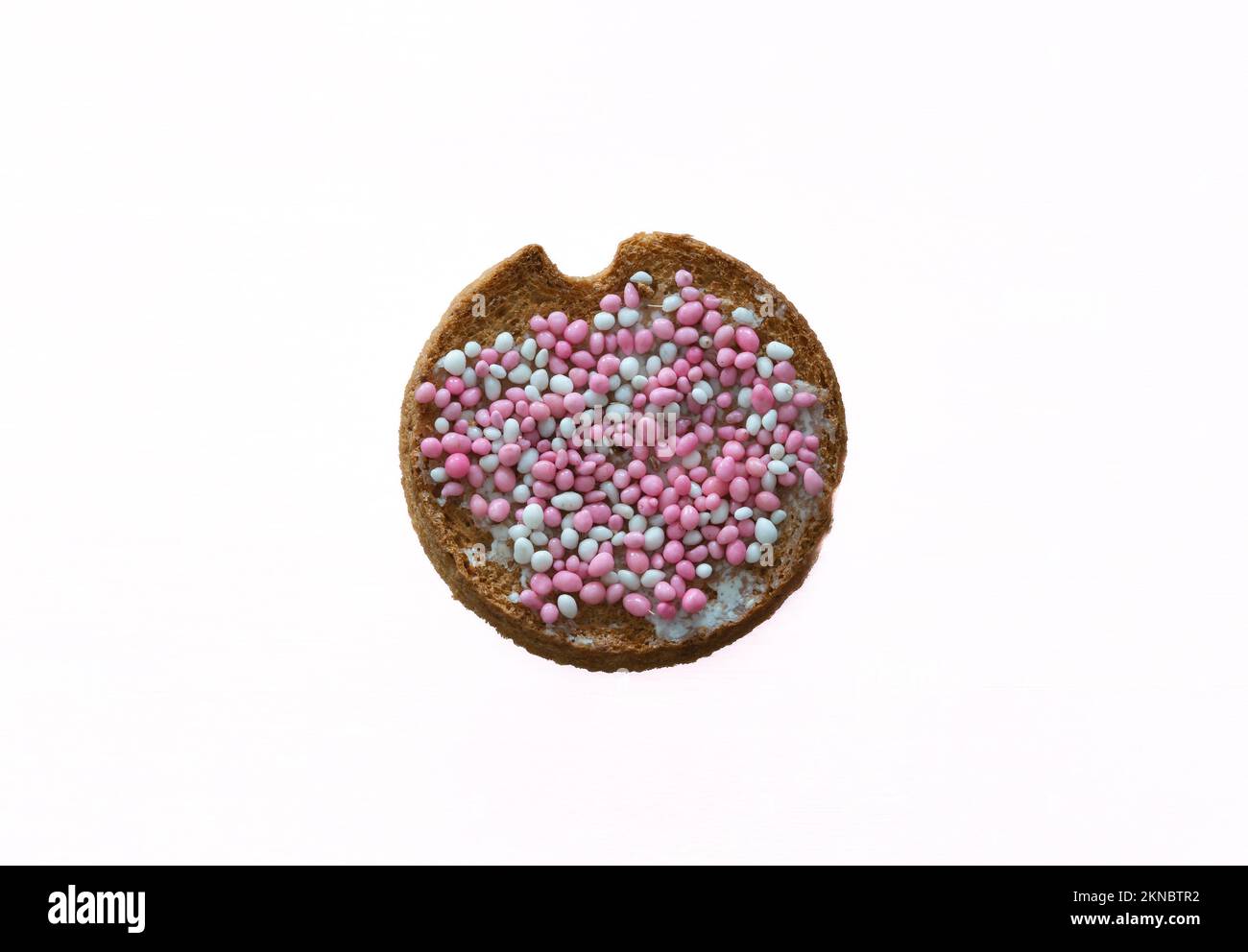 Traditionelle holländische Leckerei, die zur Feier der Geburt eines kleinen Mädchens namens beschuit met muisjes gegessen wurde, das aus Zwieback mit zuckerhaltigen Aniskernen besteht Stockfoto