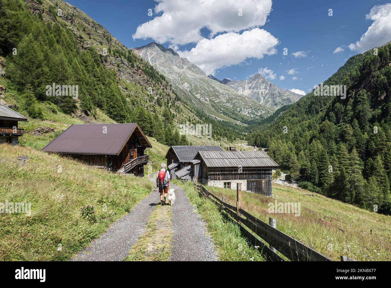 Wandern Sie mit einem Hund vor rustikalen Alpenhütten, Bergwäldern und Gipfeln im Windachtal, den Ötz-Alpen, Österreich Stockfoto