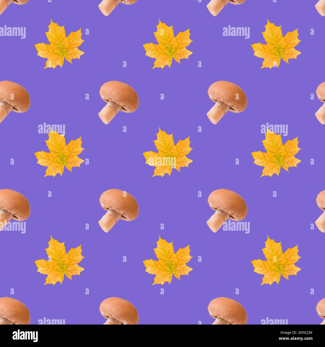 Nahtloses Herbstmuster mit Pilzen und Blättern auf lila Hintergrund Stockfoto