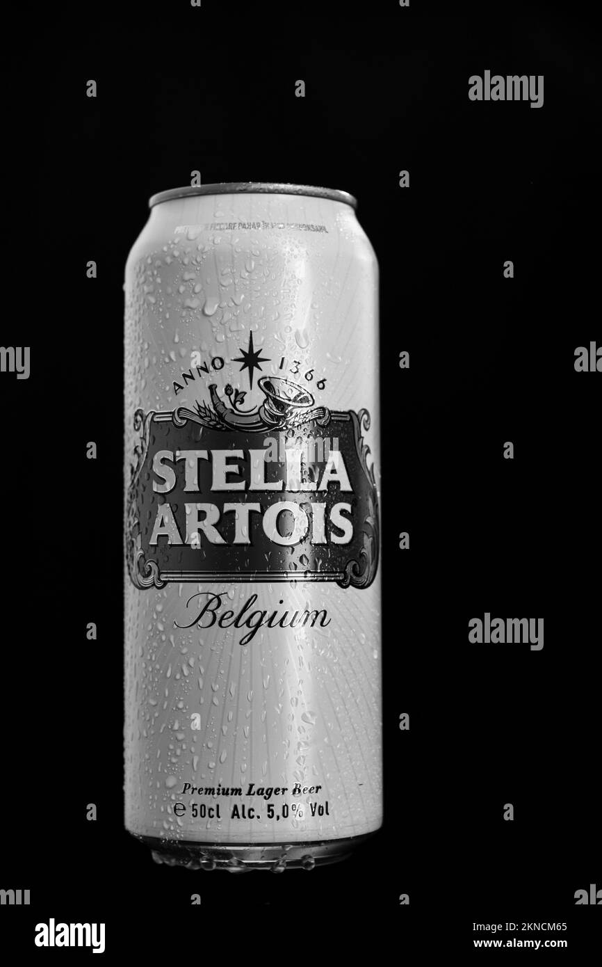 Stella Artois Bierdose. Bukarest, Rumänien, 2023 Stockfoto