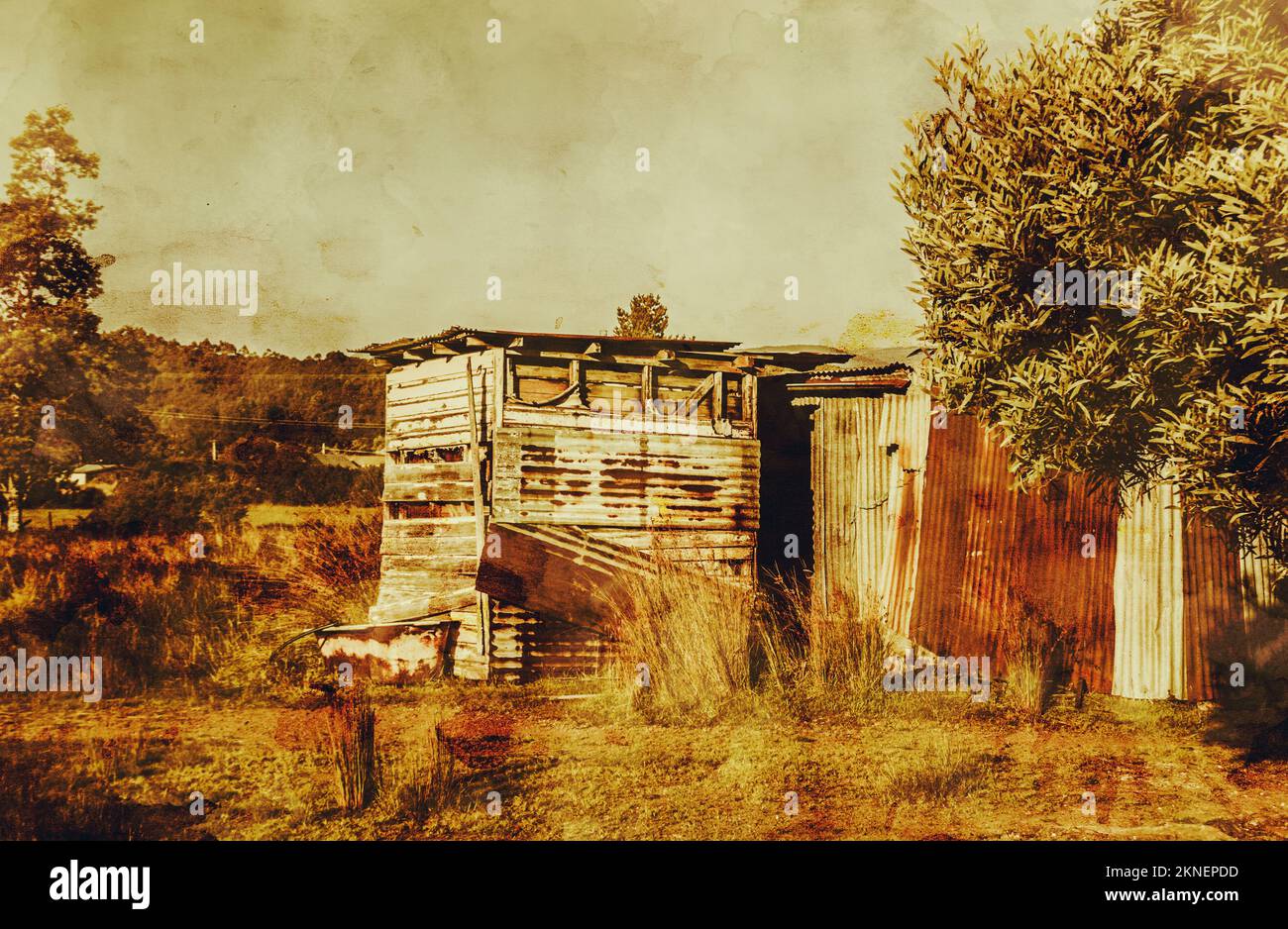 Grunge Farming Geschichte mit einem wilden West-australischen Scheune in alten rauen Stil. Zeehan Tasmanien Australien Stockfoto
