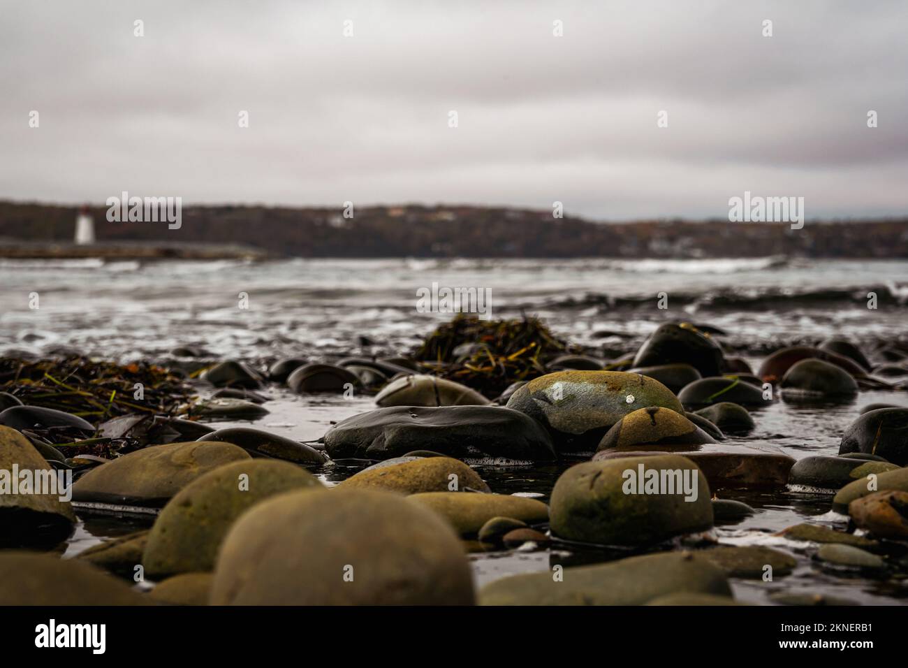 Blick auf den Maugers Beach Lighthouse vom Strand auf McNabs Island halifax Nova scotia canada bei Ebbe Stockfoto