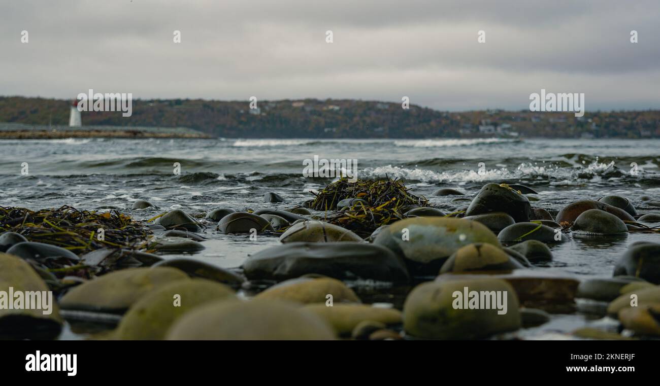 Blick auf den Maugers Beach Lighthouse vom Strand auf McNabs Island halifax Nova scotia canada bei Ebbe Stockfoto