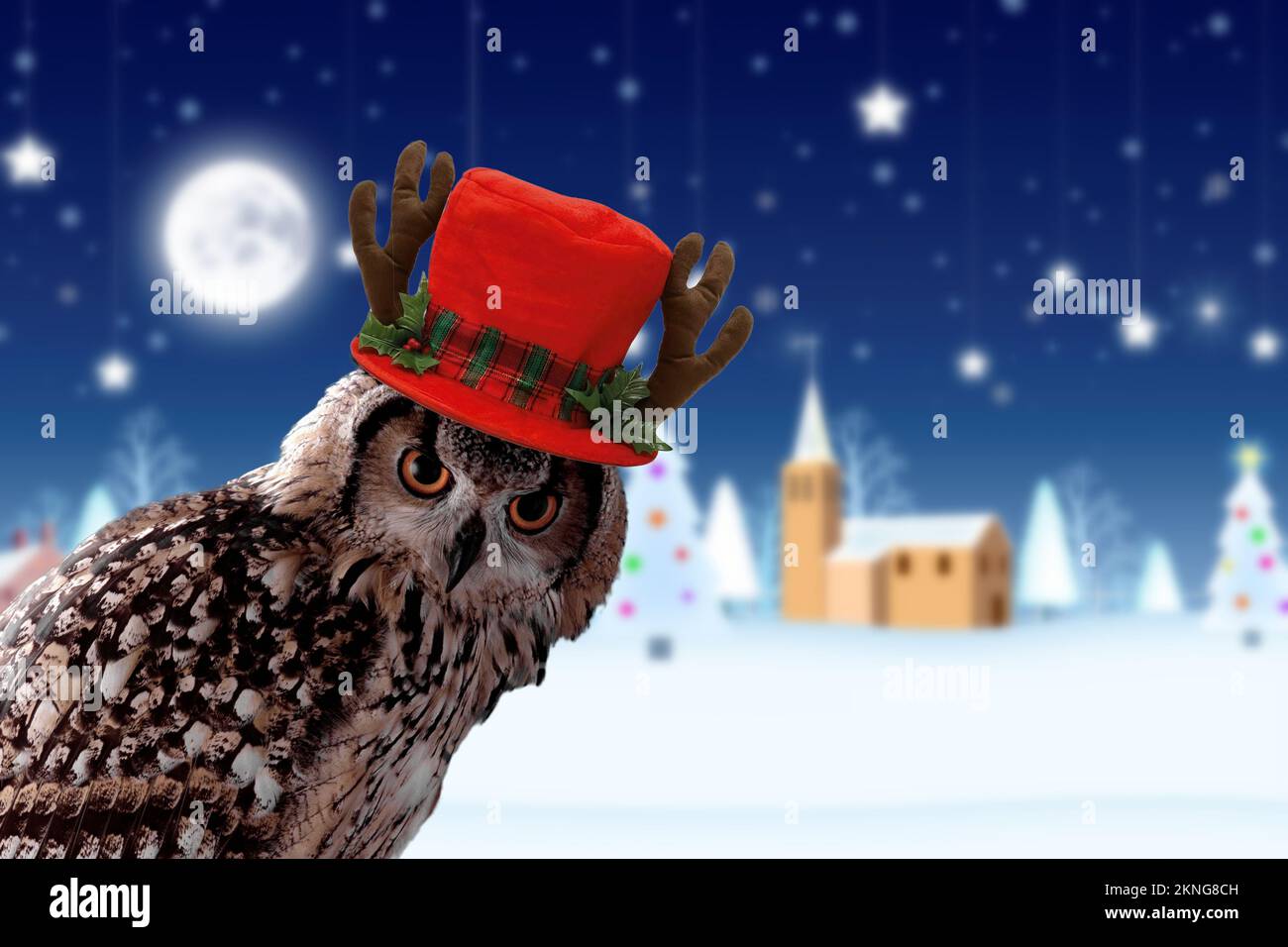 Eine Weihnachtskarte mit einer süßen Eule und einem Weihnachtsmütze. Stockfoto Eine Weihnachtskarte mit einer süßen Eule und einem Weihnachtsmütze. Stockfoto