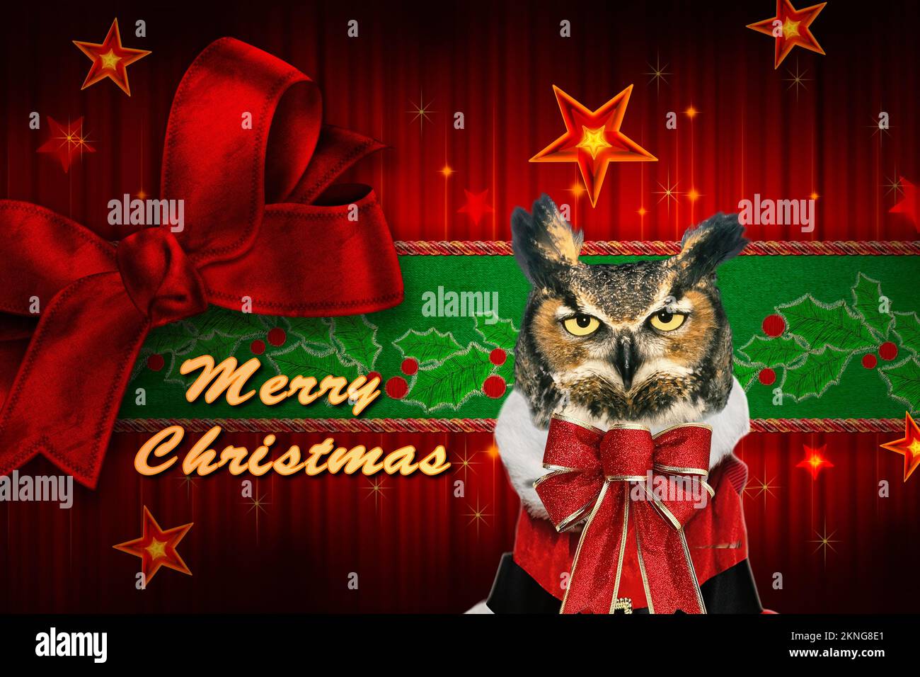 Eine Weihnachtskarte mit einer süßen Eule und einem Weihnachtsmütze. Stockfoto Eine Weihnachtskarte mit einer süßen Eule und einem Weihnachtsmütze. Stockfoto