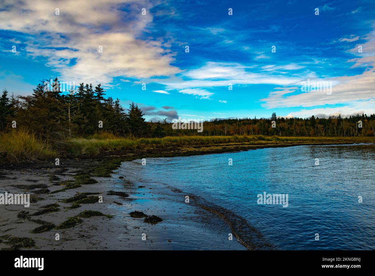 Der Strand entlang der Wreck Cove auf McNabs Island halifax Nova scotia canada Stockfoto