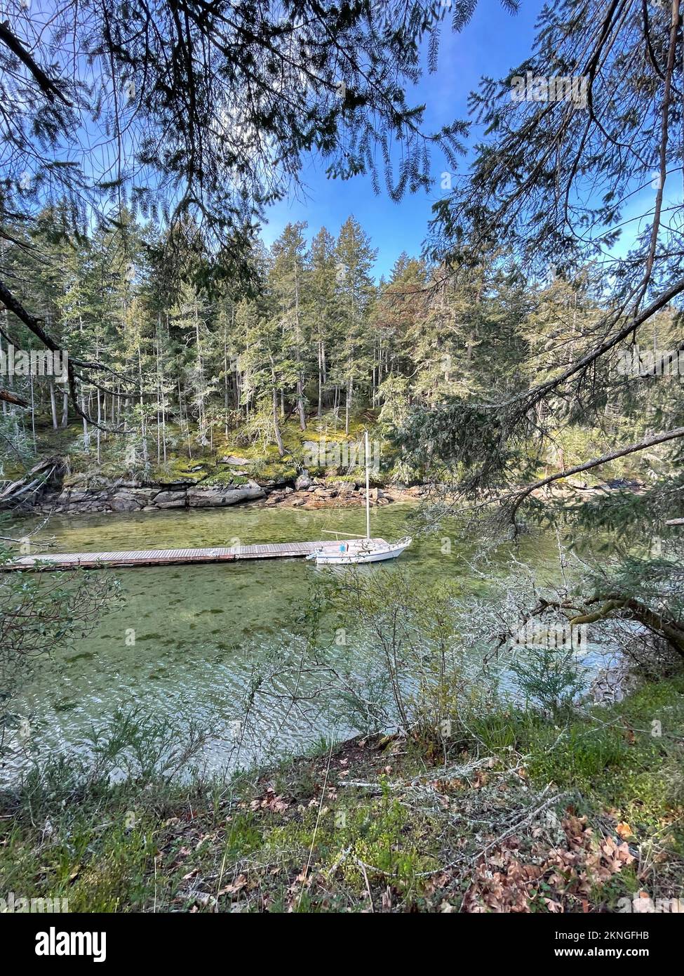 Ein Boot ankerte an einer kleinen Anlegestelle inmitten der Wälder in Ladysmith, auf Vancouver Island, British Columbia, Kanada Stockfoto