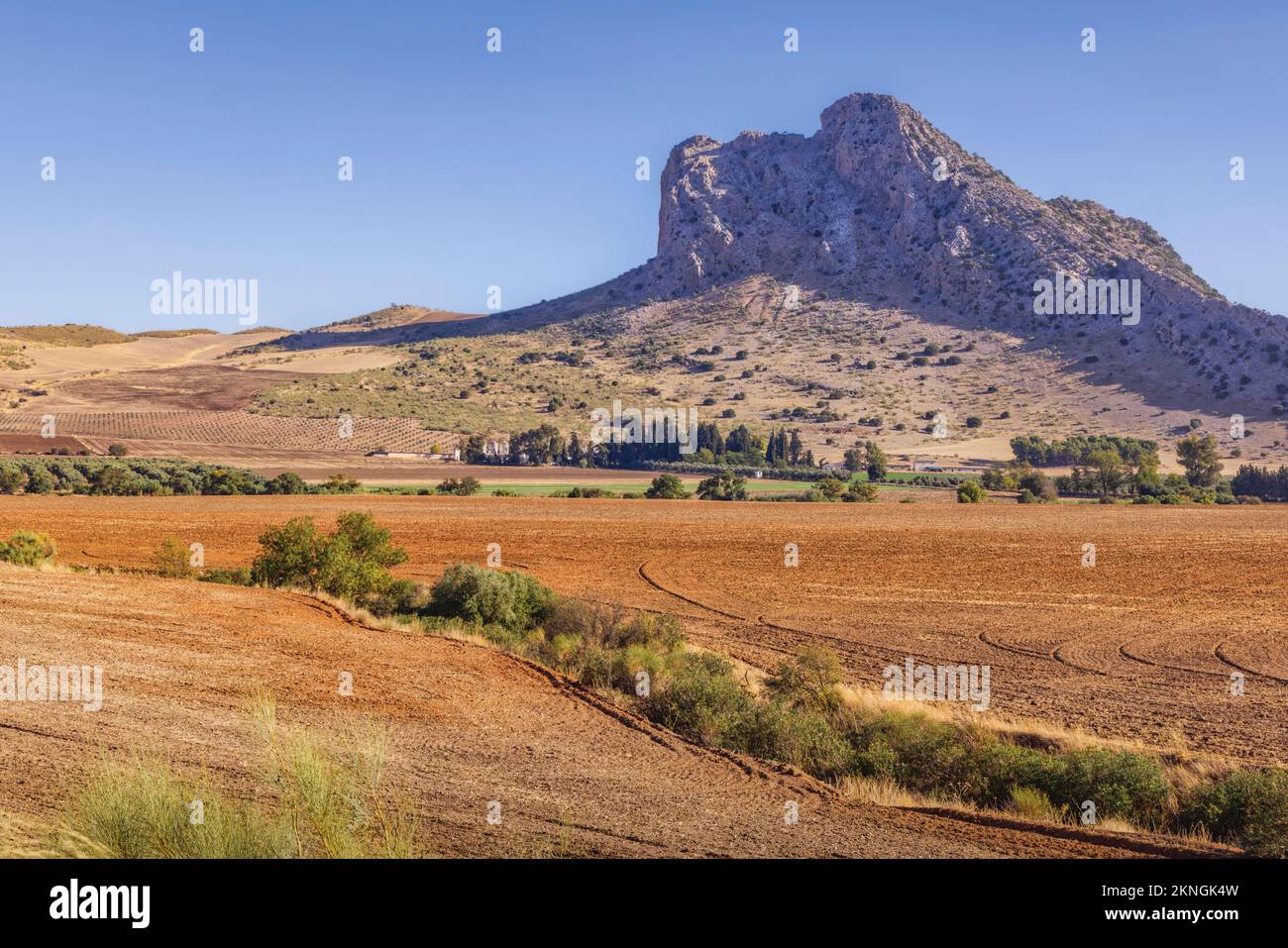 In der Nähe von Antequera, Provinz Malaga, Andalusien, Südspanien. Felder außerhalb der Stadt mit La Peña de los Enamorados, (Liebesfelsen) oder Montaña d Stockfoto