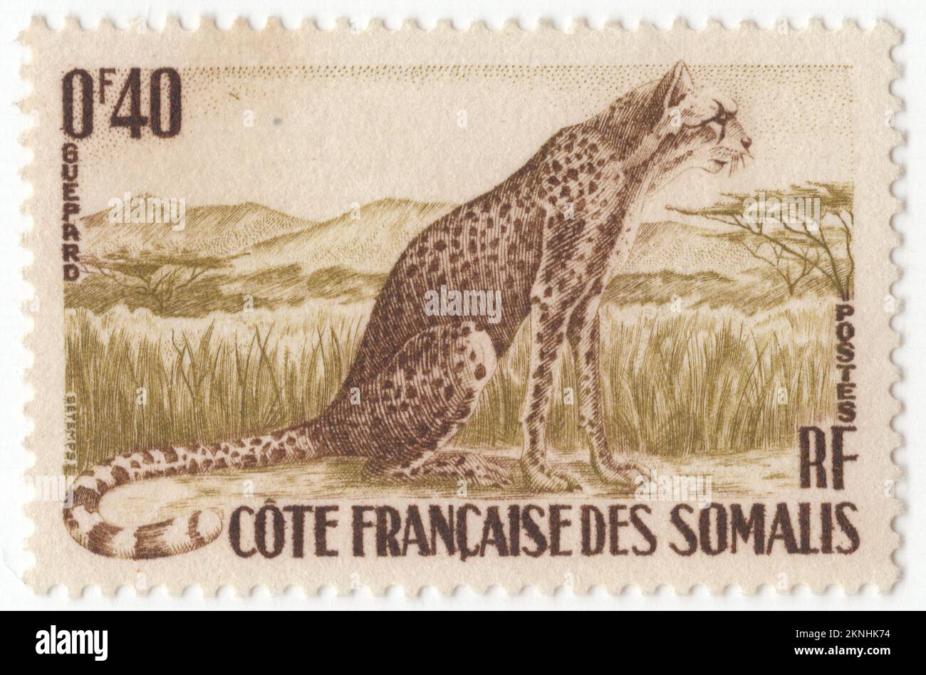 DSCHIBUTI AN DER KÜSTE FRANKREICHS SOMALIAS - 1958: Eine Briefmarke mit brauner und olivgrüner Briefmarke von 40 Centimes, die den Geparden darstellt. Der Gepard (Acinonyx jubatus) ist eine große Katze, die in Afrika und im zentralen Iran heimisch ist. Es handelt sich um das schnellste Landtier, das schätzungsweise mit einer Geschwindigkeit von 80 bis 128 km/h (50 bis 80 mph) fahren kann, wobei die schnellste, zuverlässig aufgezeichnete Geschwindigkeit 93 und 98 km/h (58 und 61 mph) beträgt; Und so hat er spezielle Anpassungen für Geschwindigkeit entwickelt, einschließlich einer leichten Konstruktion, langen dünnen Beinen und einem langen Schwanz. Er erreicht in der Regel 67–94 cm (26–37 Zoll) an der Schulter, und die Kopf- und Körperlänge beträgt zwischen 1,1 und 1,5 m. Stockfoto