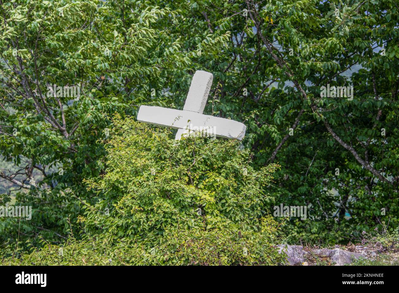 Vergessenes weißes Kreuz im Wald mit Pflanzen, die um ihn herum wachsen - gekippt und fast überwuchert auf Hügeln mit mehr Bäumen im Hintergrund. Stockfoto