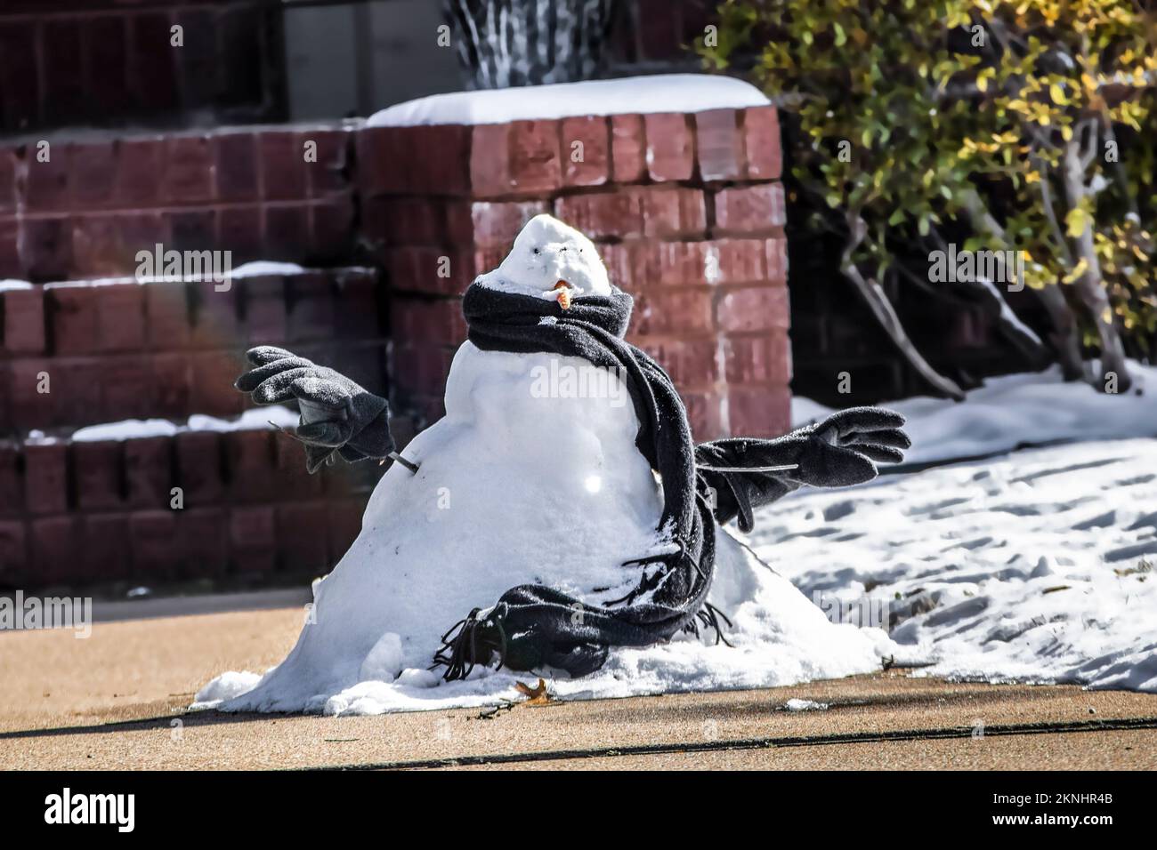 Pinguin-Schneemann mit Karottennase und schwarzem Schal und riesigen Handschuhen vor verschwommenem Hintergrund Stockfoto