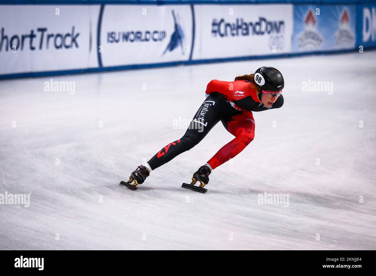 Dresden, Deutschland, 03. Februar 2019: Kanadischer Speedskater tritt während der ISU Short Track Speed Skating World Cup in der EnergieVerbund Arena an Stockfoto