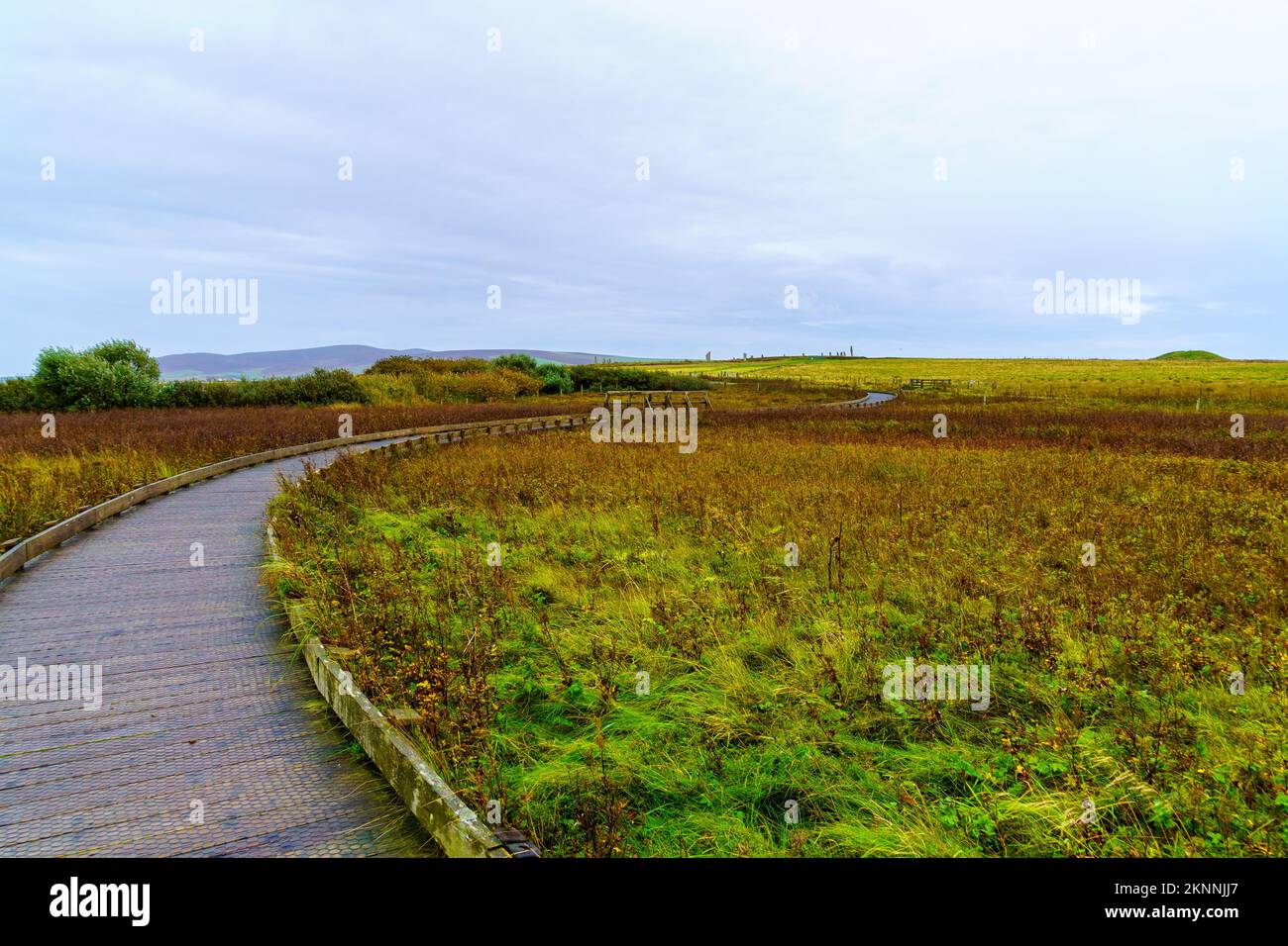 Blick auf einen Fußweg und den Ring of Brodgar Stone Circle in Mainland Orkney, Schottland, Großbritannien Stockfoto