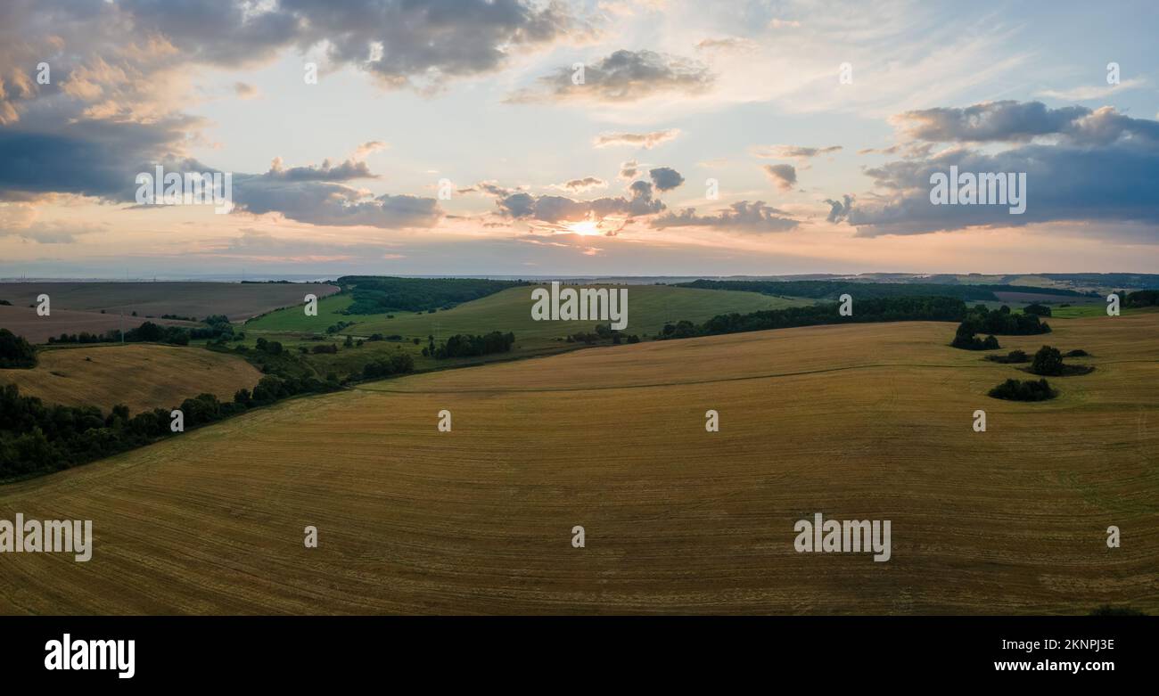 Luftlandschaftsansicht von gelbem Ackerfeld mit reifem Weizen am hellen Sommerabend Stockfoto