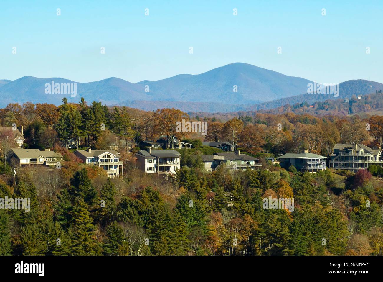 Blick aus der Vogelperspektive auf die großen Familienhäuser auf dem Gipfel zwischen gelben Bäumen in der Vorstadt von North Carolina im Herbst. Immobilienentwicklung in Stockfoto