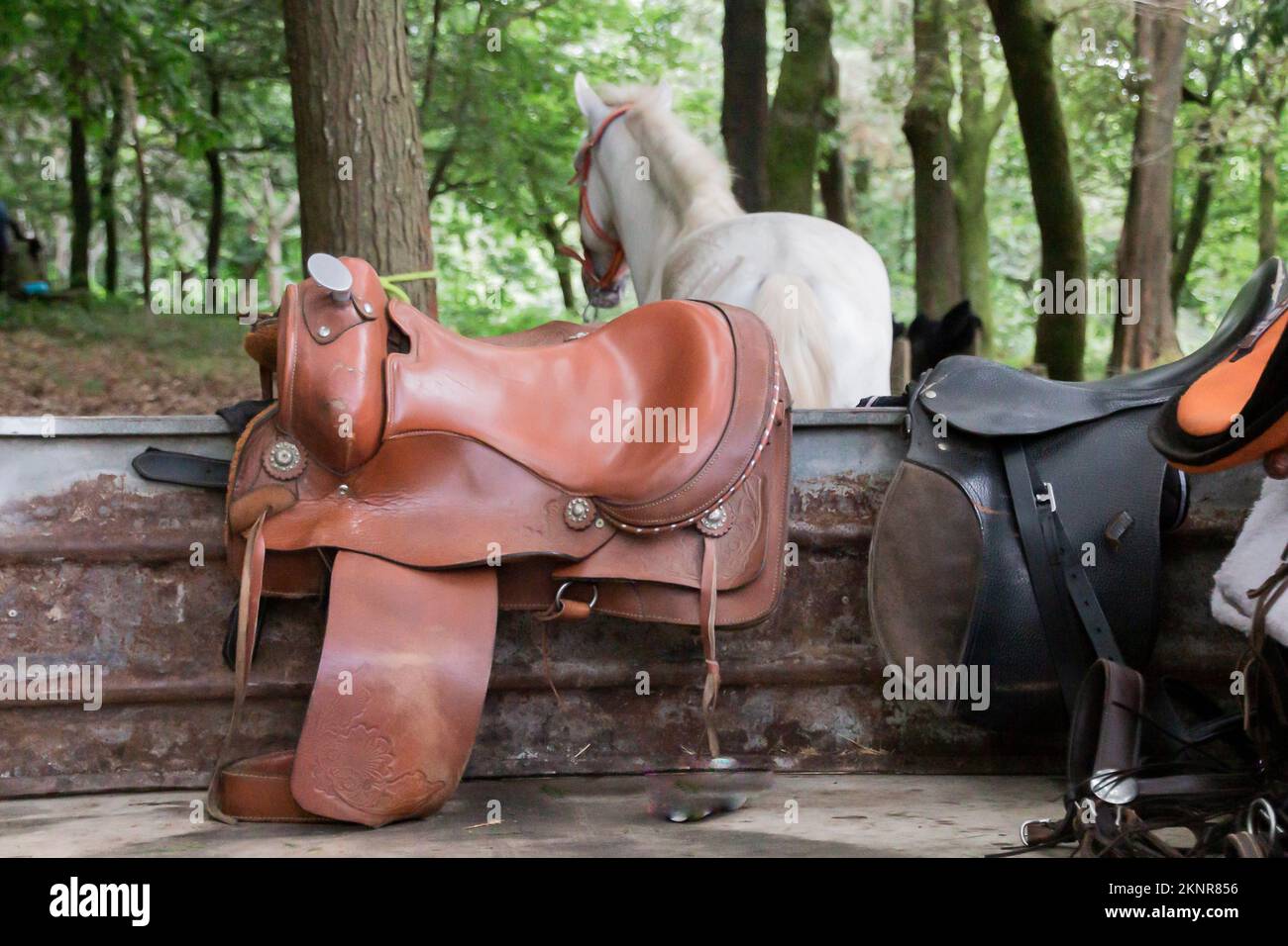 Zwei Sättel an einem Tor auf einem Bauernhof Stockfoto