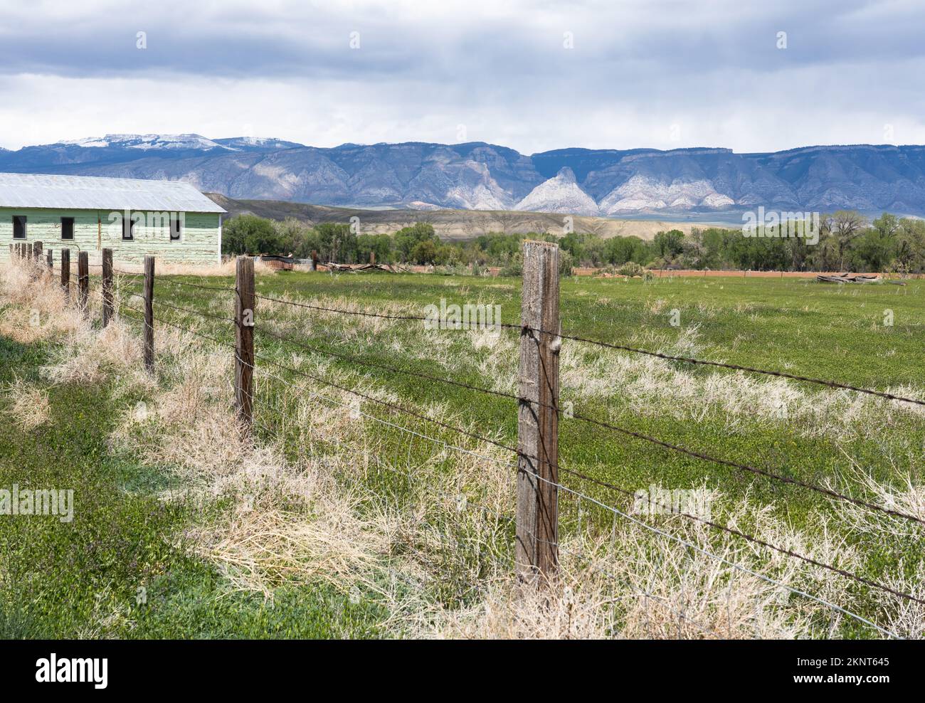 Alte grün bemalte Bauernhöfe mit Big Horn Mountains und Moränen in der Ferne. Siehe Weide und Stacheldrahtzaun im Vordergrund. Stockfoto