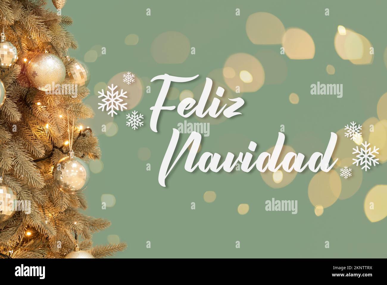 Grußkarte mit dekoriertem Tannenbaum und Text FELIZ NAVIDAD (Spanisch für fröhliche Weihnachten) Stockfoto